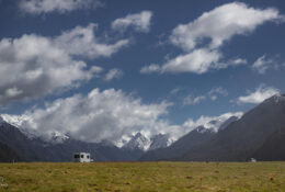 New Zealand 2025 (2 group) (47/84)